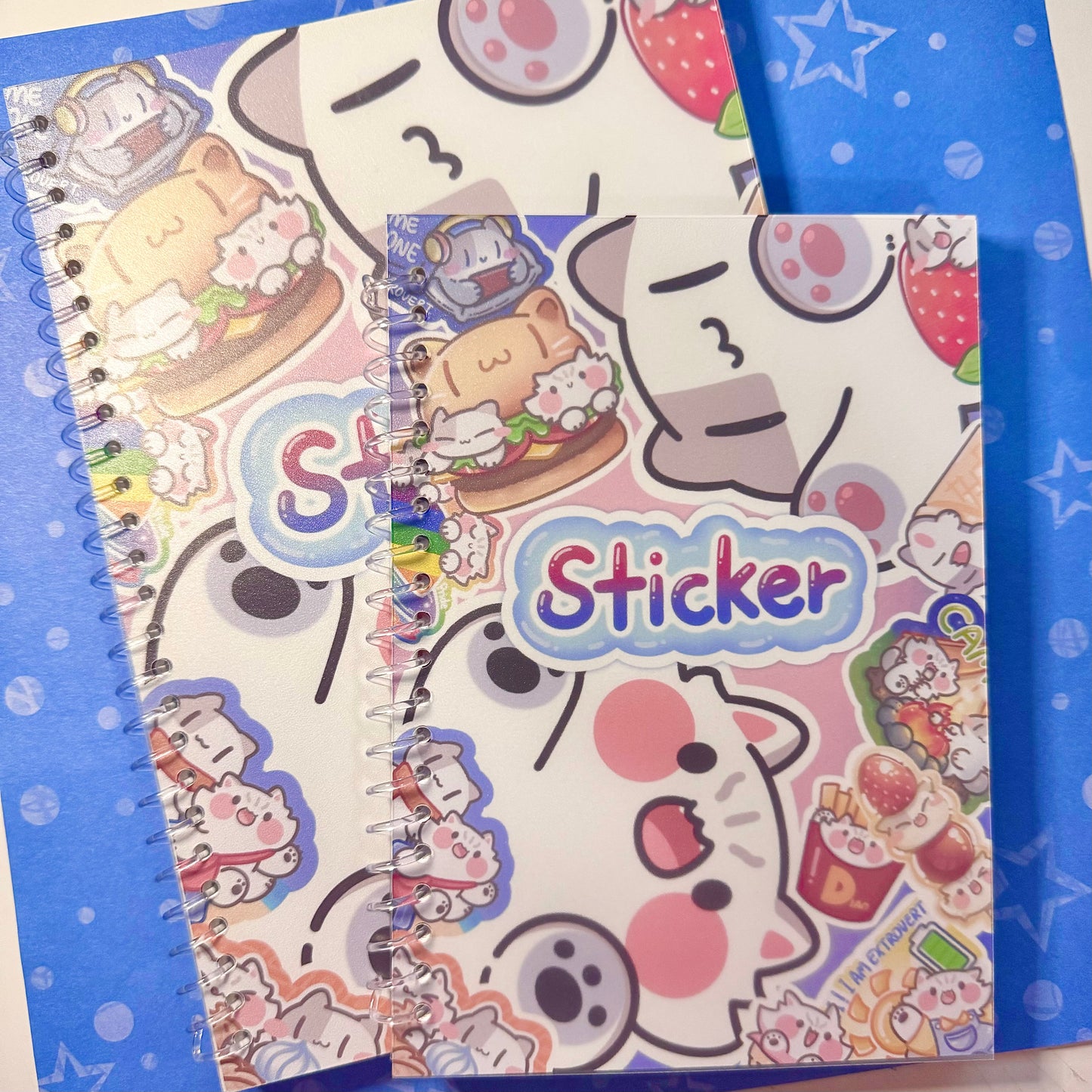 Reusable B5/A5 Sticker Book