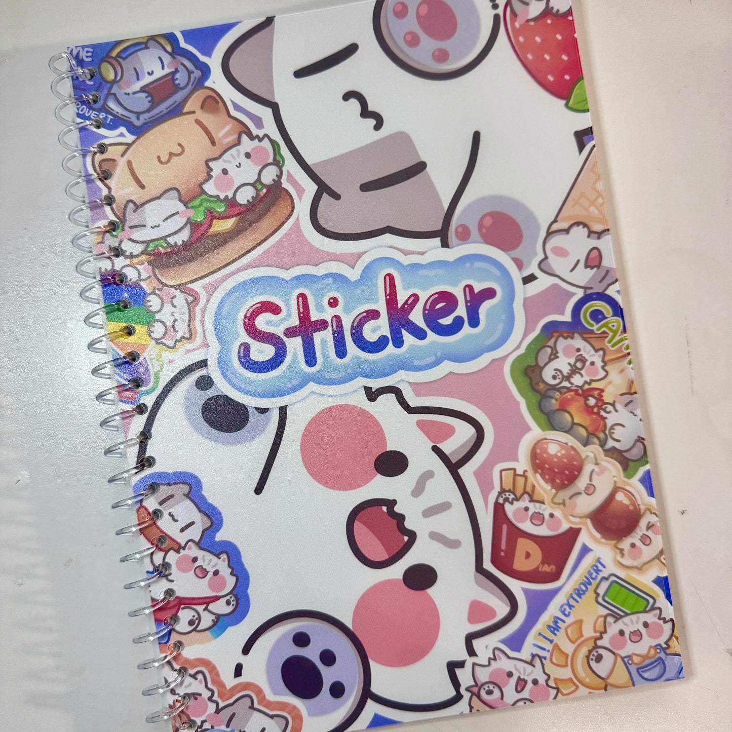 Reusable B5/A5 Sticker Book