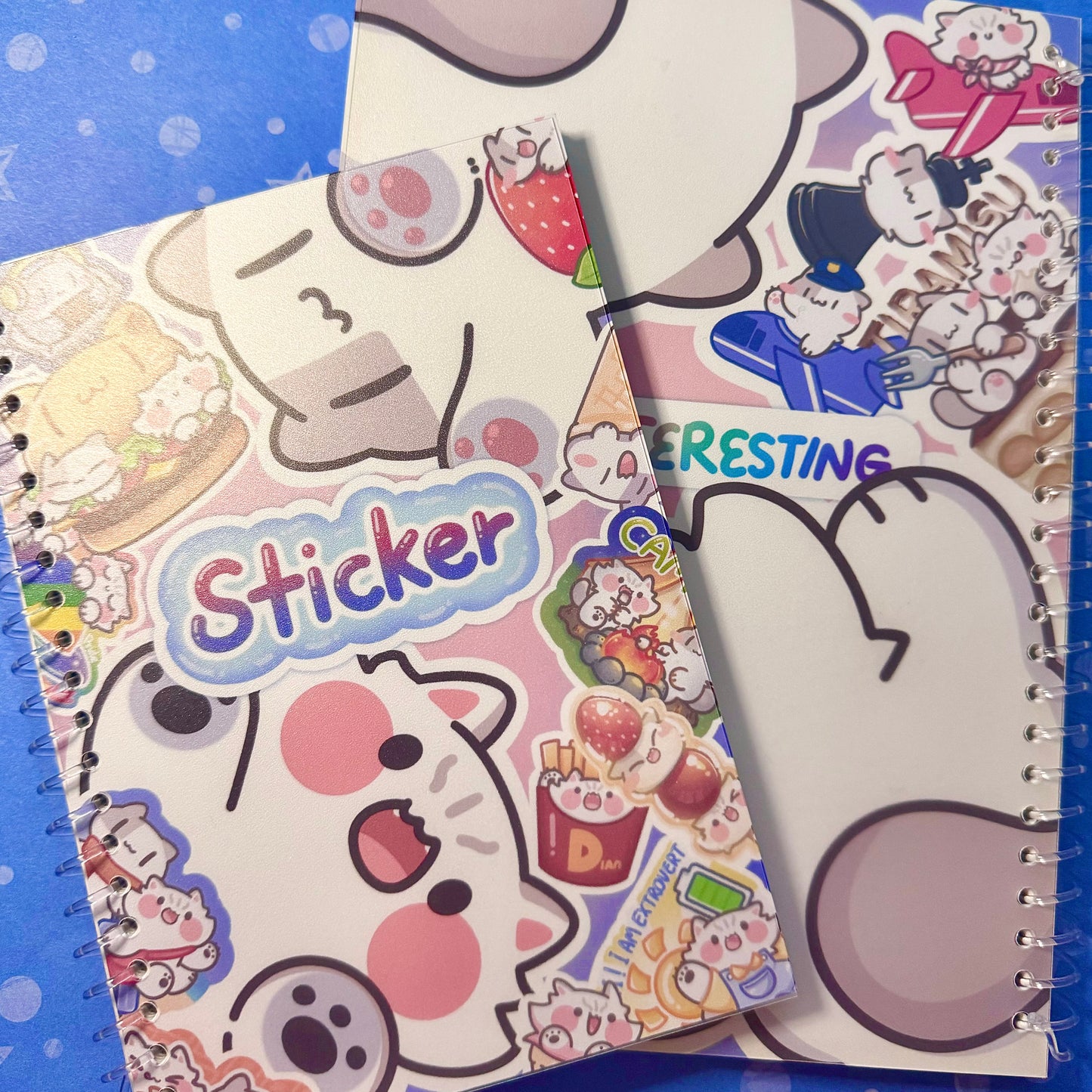 Reusable B5/A5 Sticker Book