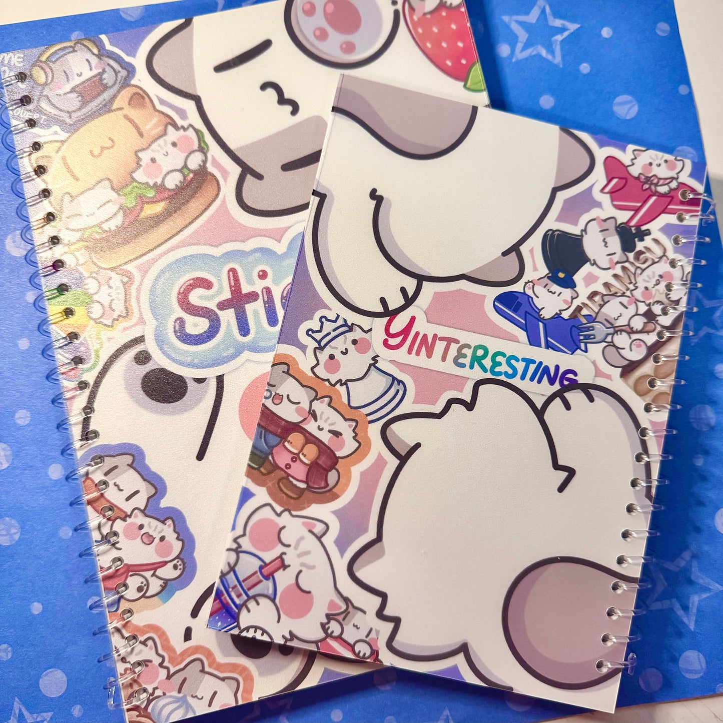 Reusable B5/A5 Sticker Book