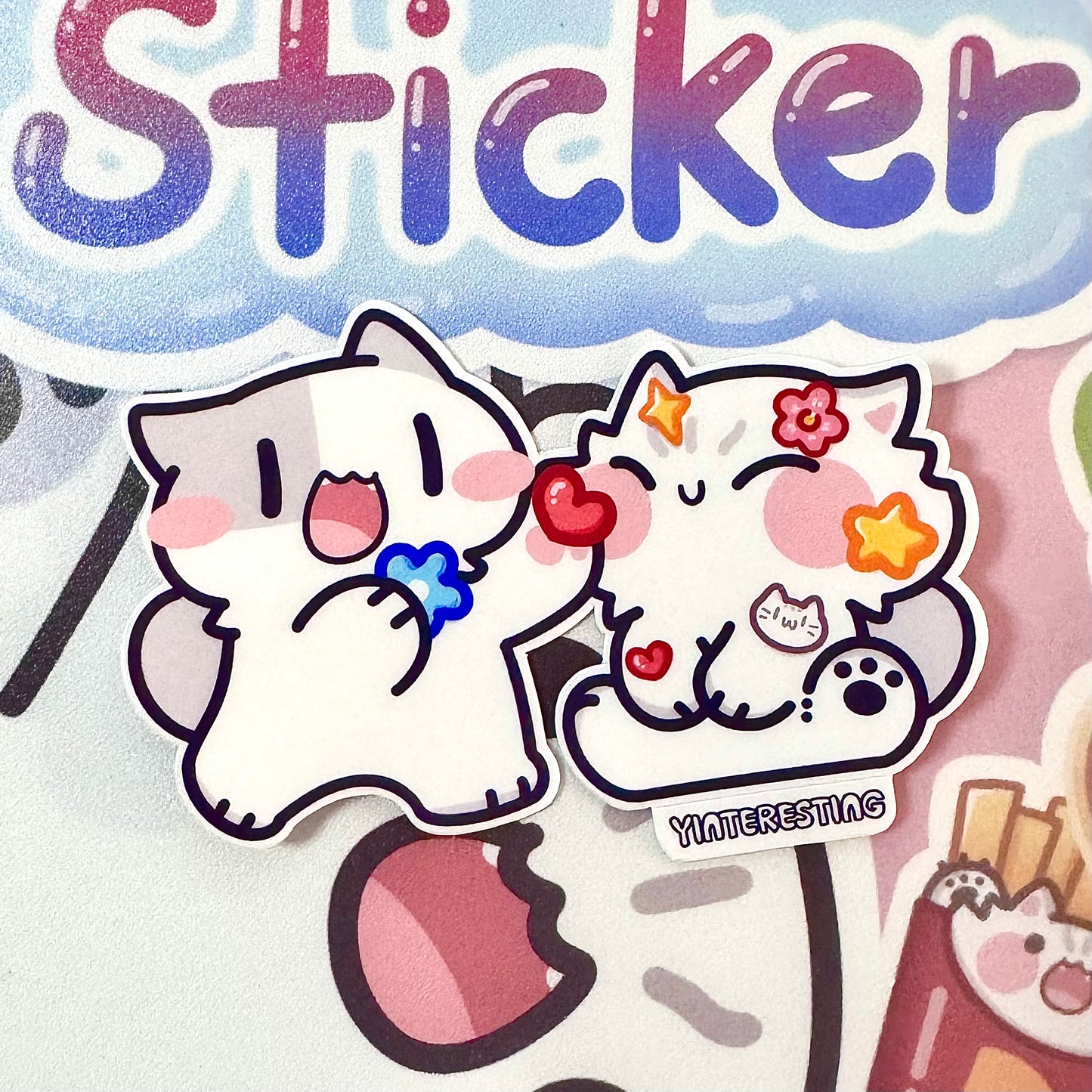 Reusable B5/A5 Sticker Book
