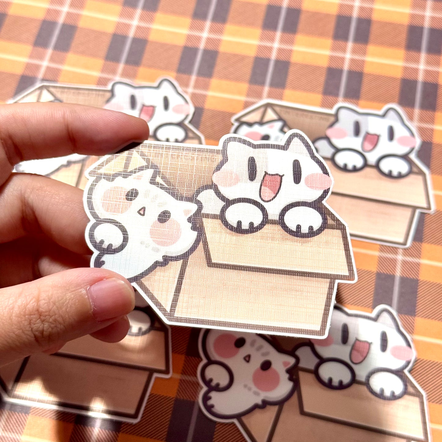 Cats in Box Sticker