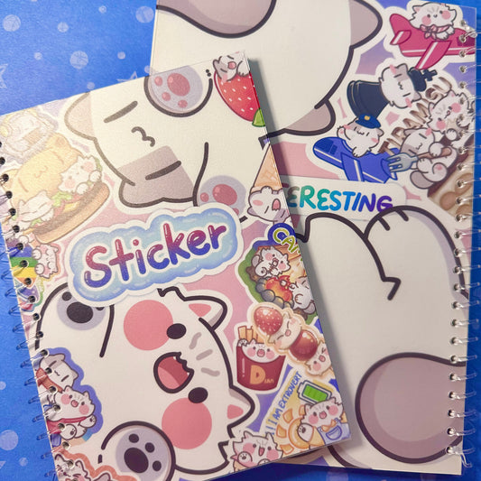 Reusable B5/A5 Sticker Book
